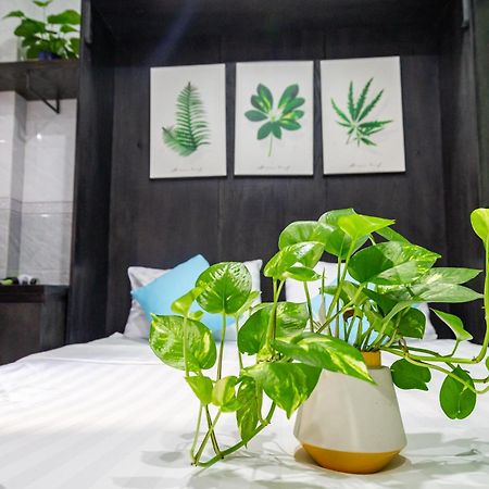 Cola'S Homestay مدينة هوشي منه المظهر الخارجي الصورة