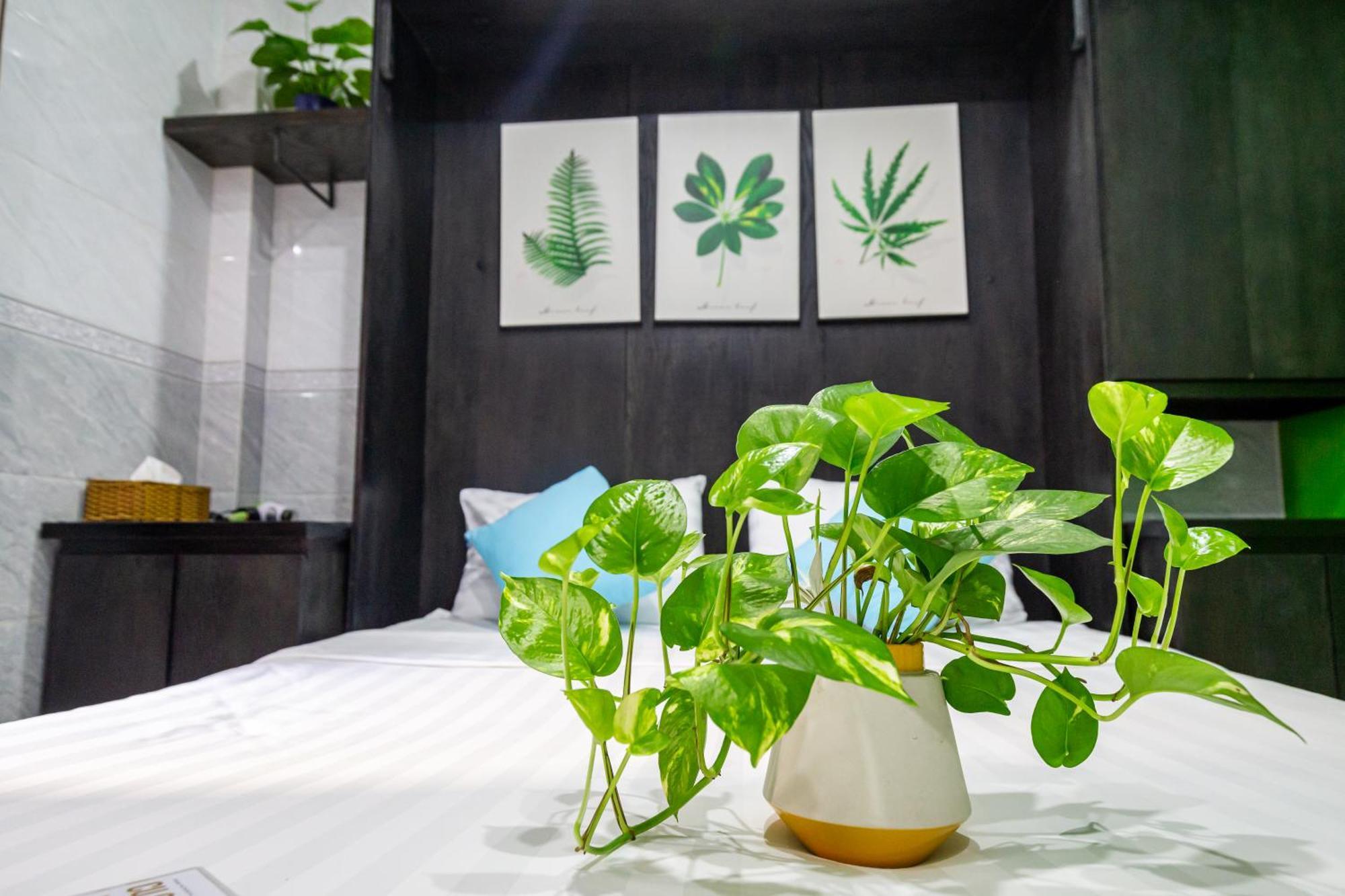 Cola'S Homestay مدينة هوشي منه المظهر الخارجي الصورة